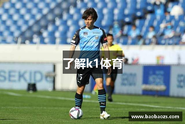 了解k1体育